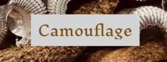 Barry King - Camouflage